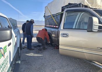 Atiende Turismo Tamaulipas más de cinco mil vehículos de paisanos