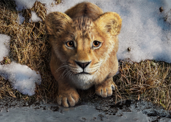 Nada sorprendente en la primera semana de estrenos navideños en el cine