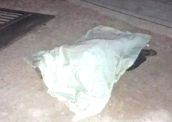 Tragedia en San Fernando