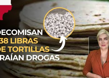 Dona Jamie Lee Curtis 1 MDD en ayuda por incendios