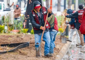Modifica y embellece Gobierno de Reynosa vialidad en Las Fuentes