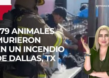 Mr. Doctor podría enfrentar cargos por desacato