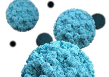 Aumento de casos de Norovirus en el Valle del Río Grande