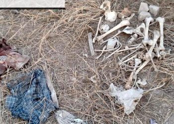 Encuentran restos humanos en Río Bravo