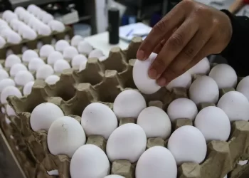 Inflación en México acelera a 3.74% en primera quincena de febrero