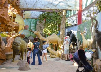 Cada día más tamaulipecos disfrutan del Zoológico Tamatán y el Tamux