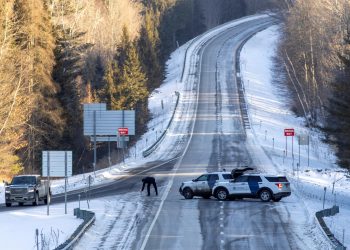 Avanza investigación en caso de asesinatos en serie
