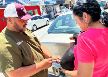 Atiende Gobierno de Reynosa a mascotas de zonas vulnerables