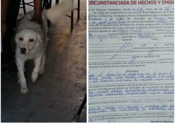 Autoridades atienden caso de posible maltrato animal en la colonia Vista Alta en Reynosa
