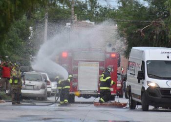 Atacan abejas, matan a vecino y a un perrito en Reynosa