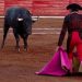 Aguascalientes Declara Patrimonio Cultural a las Corridas de Toros