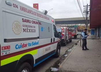 Cae ladrón… de 8 metros de altura