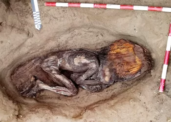 Hallazgo milenario en Perú revela el poder femenino en civilizaciones antiguas