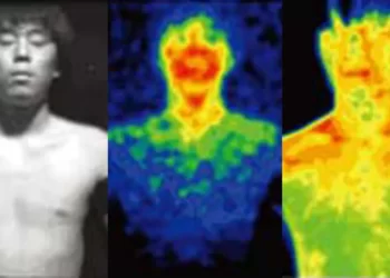 Descubren que todos los seres vivos emitimos luz tenue