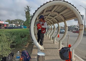 Renueva Gobierno de Reynosa parabuses para usuarios del transporte público