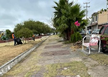 Sanea Gobierno de Reynosa sitios de esparcimiento familiar