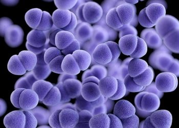 Alertan por bacterias en playas de Texas