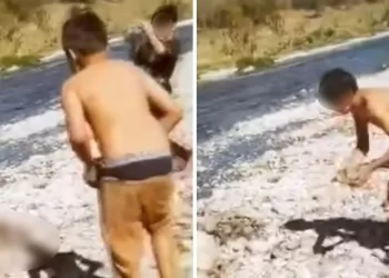Crueldad animal causa indignación en Juárez, NL