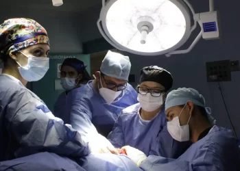 Innovación médica: cirujanos trasplantan por primera vez una vejiga humana