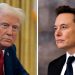 Elon Musk contraataca a Trump: el presidente de EU aparece en los archivos de Epstein