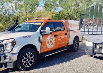 Nuevo León: Ubican a tigre en Salinas Victoria y activan operativo para capturarlo