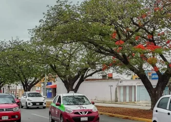 Polvo del Sahara llega a Campeche: así se ve el paso del fenómeno meteorológico por el estado