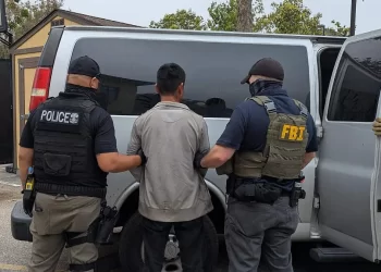 Polémica por nueva prisión migrante en Florida: “Alligator Alcatraz”