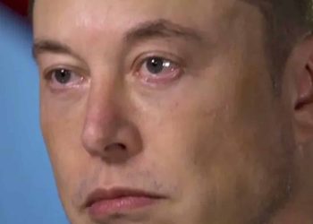 Elon Musk se retracta: lamenta críticas a Trump tras enfrentamiento público