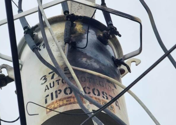 Paloma choca contra transformador en Reynosa