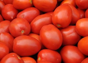 Tarifa al tomate mexicano divide opiniones en Texas
