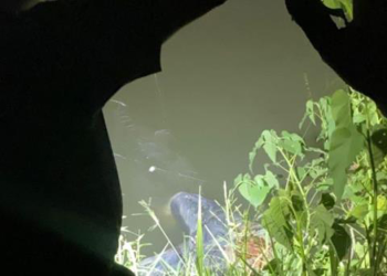 Hallan cuerpo desmembrado flotando en el canal Anzaldúas