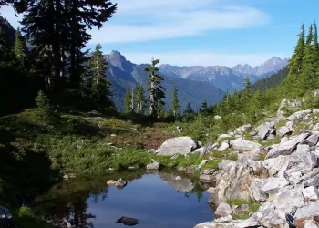 Accidente aéreo en Parque Nacional Olímpico