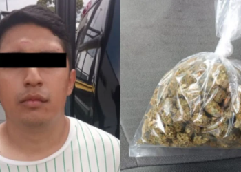 Detienen a joven implicado en robos y posesión de marihuana en Monterrey