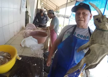 El pez diablo invade ríos de Tamaulipas y pone en riesgo la pesca regional