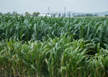 Detectan toma clandestina de combustible en parque estatal de Guanajuato