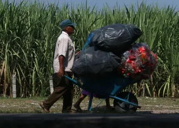 Más de 8 millones de mexicanos salieron de la pobreza entre 2022 y 2024