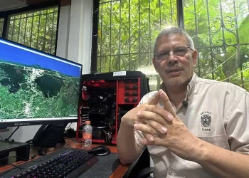 Mar se ‘traga’ el bosque en Tabasco