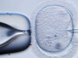 Nace bebé de embrión congelado por 30 años, marcando un nuevo récord mundial