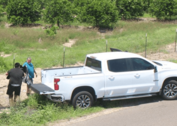 Investigan caso de abandono ilegal de perro en Palmview