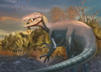 Descubren nuevo dinosaurio en Argentina con hueso de cocodrilo en la boca