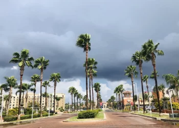 McAllen entre las 20 mejores ciudades para vivir en EE.UU.