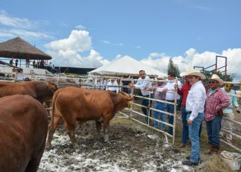 Reitera Gobierno del Estado de Tamaulipas su compromiso con el sector ganadero