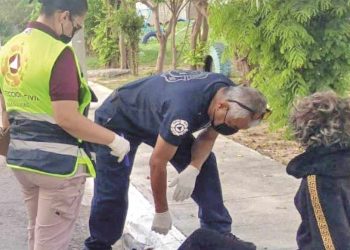 Enjambre de abejas provoca movilización en colonia Tamaulipas