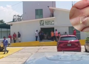 Hospitalizan a 20 alumnos tras ingerir vidrio en tortas de cochinita