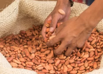 Sube precio del chocolate en México