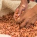 Sube precio del chocolate en México