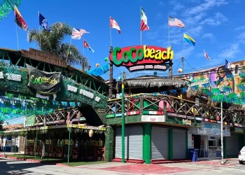 Acusan a diputada de Morena de vínculos con el Cártel de Sinaloa