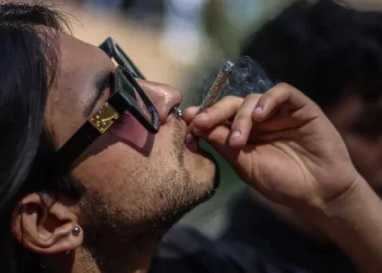 Alertan por alto riesgo de consumo de drogas en 15 municipios del país