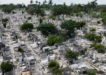Reventa hasta la muerte