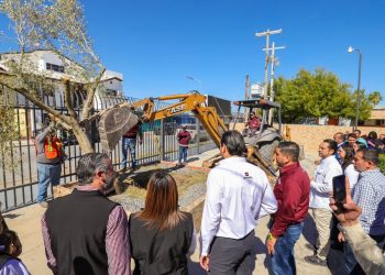 Fortalece política ambiental donación de olivos del Gobierno de Reynosa a la UAT